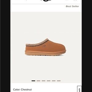 UGG Chestnut Slip-On Shoes